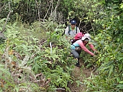 Thumbnail of P4140022.JPG