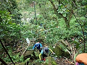 Thumbnail of pic_Wai_014.jpg