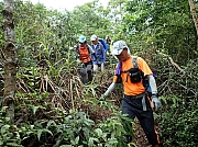 Thumbnail of pic_Wai_079.jpg