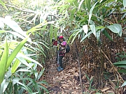 Thumbnail of pic_KwokWah_080.JPG