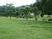 Thumbnail of P6300090.JPG