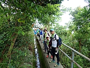 Thumbnail of pic_Wai_073.jpg