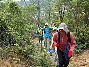 Thumbnail of pic_Sam_Ho_008.JPG