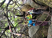 Thumbnail of pic_Billy_Lau_094.jpg