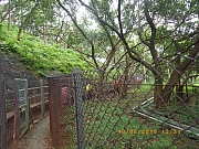 Thumbnail of pic_Wai_097.jpg