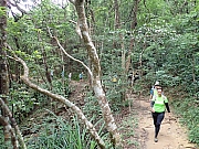 Thumbnail of pic_Wai_026.jpg