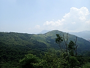 Thumbnail of pic_Thomas_Leung_058.jpg