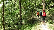 Thumbnail of pic_Victor_Cheng_068.jpg