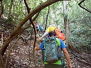 Thumbnail of pic_Wai_047.jpg