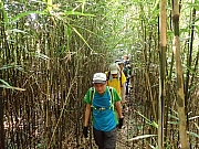 Thumbnail of pic_Wai_051.jpg