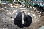 Thumbnail of pic_Grassy_Yuen_192.jpg