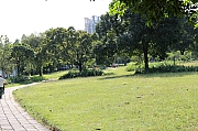 Thumbnail of pic_Grassy_Yuen_278.jpg