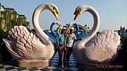 Thumbnail of pic_Mok_133.jpg