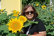 Thumbnail of pic_Sam_Ho_199.jpg