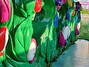 Thumbnail of pic_TB_Tung_094.jpg