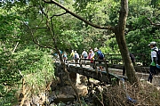 Thumbnail of pic_KL_Sin_020.JPG