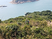 Thumbnail of pic_CL_Yip_024.jpg