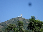 Thumbnail of PB100008.JPG