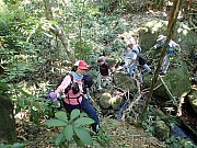 Thumbnail of pic_Thomas_Leung_155.jpg