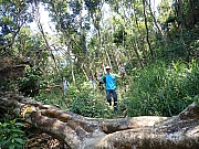 Thumbnail of pic_Wai_066.jpg