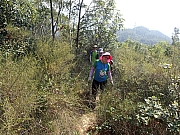 Thumbnail of PB240055.JPG