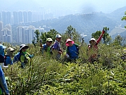 Thumbnail of PB240075.JPG