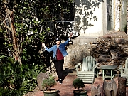 Thumbnail of PB300046.JPG