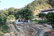 Thumbnail of pic_Grassy_Yuen_059.jpg