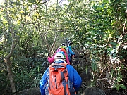 Thumbnail of pic_Thomas_Leung_005.jpg