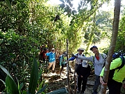 Thumbnail of pic_Wai_006.jpg