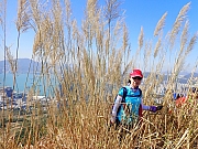 Thumbnail of pic_Wai_113.jpg