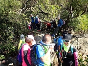 Thumbnail of PC220037.JPG