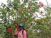 Thumbnail of PC220171.JPG