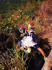 Thumbnail of pic_KC_Leung_023.jpg