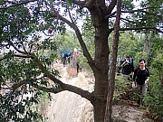 Thumbnail of pic_Wai_034.jpg