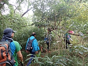 Thumbnail of pic_Wai_104.jpg