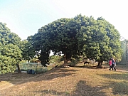 Thumbnail of pic_Ahmin_048.jpg