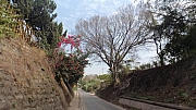 Thumbnail of pic_Ahmin_065.jpg