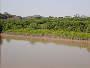 Thumbnail of pic_Wai_163.jpg