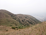Thumbnail of pic_Thomas_Leung_152.jpg