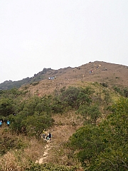 Thumbnail of pic_Thomas_Leung_193.jpg