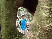 Thumbnail of pic_Wai_101.jpg