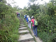 Thumbnail of pic_Wai_059.jpg