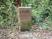 Thumbnail of pic_Wai_010.jpg
