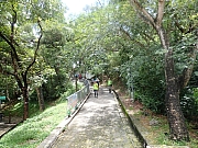 Thumbnail of pic_Wai_065.jpg