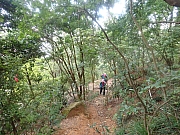 Thumbnail of pic_Wai_014.jpg