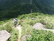Thumbnail of pic_Wai_100.jpg