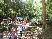 Thumbnail of pic_Wai_159.jpg