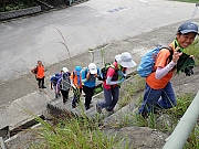 Thumbnail of pic_Thomas_Leung_009.jpg