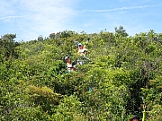 Thumbnail of pic_Thomas_Leung_024.jpg